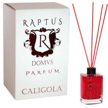 Carica l'immagine nel visualizzatore di Gallery, PROFUMATORE RAPTUS - Profumo - RAPTUS